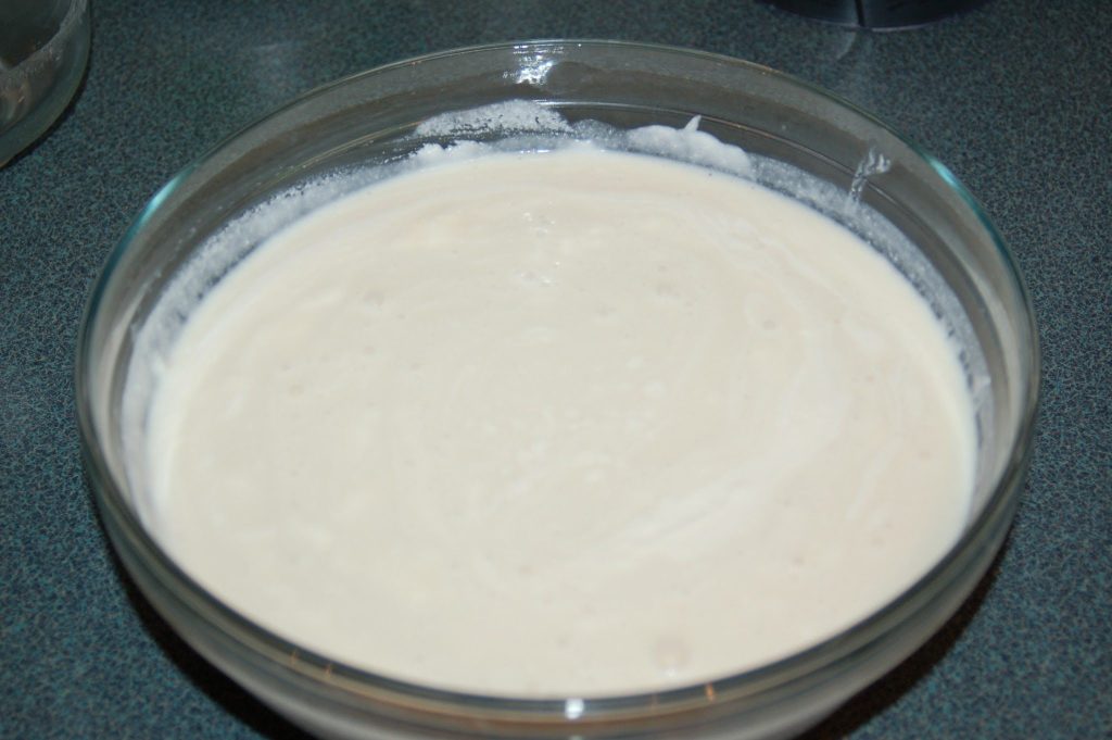 ricotta ice cream mixture