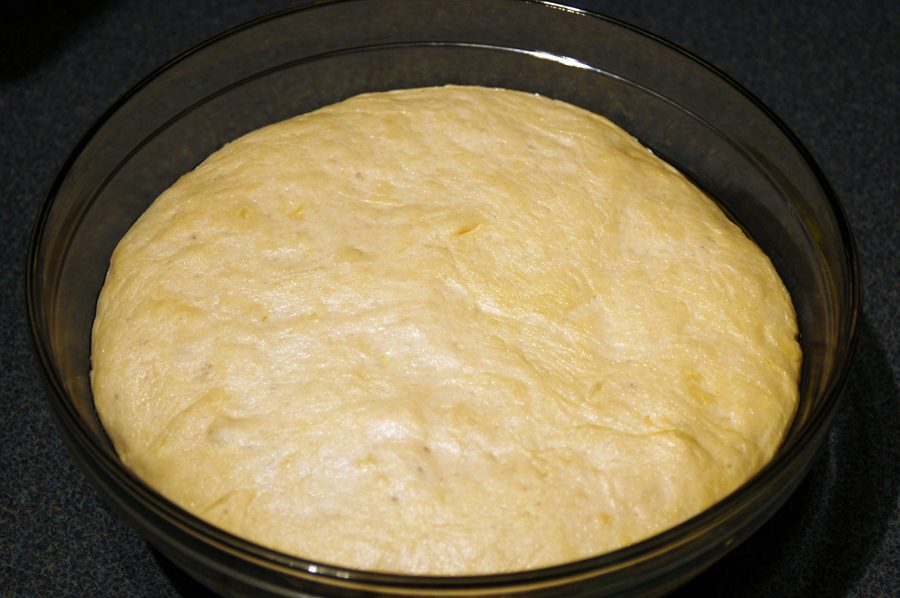 dough for homemade pizza crust