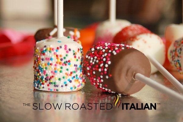choc-covered-marshmallow-po-7783863
