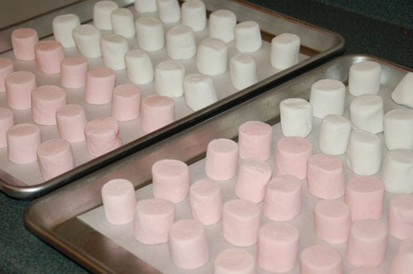 marshmallows-9764041