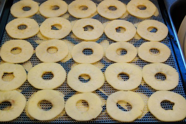 apple-chips-on-tray-2265018