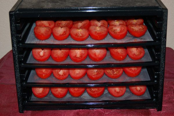 tomatoes-in-dehydrator-1609008