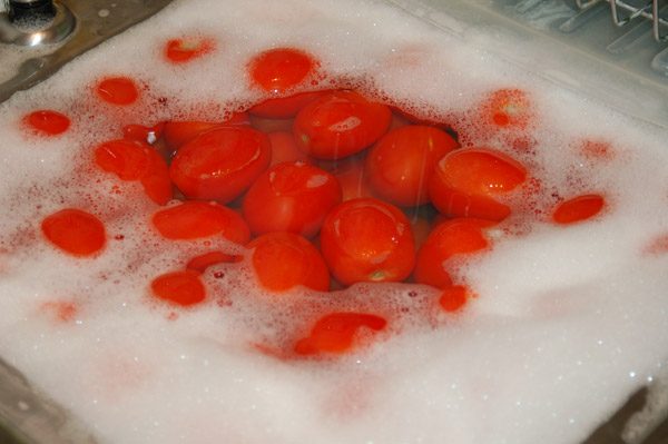 washing-tomatoes-8923122