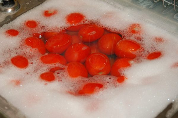 washing-tomatoes-8923122