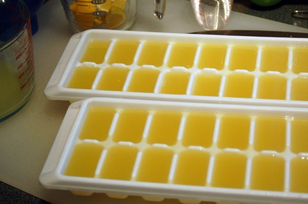 lemon-juice-cubes-3019226