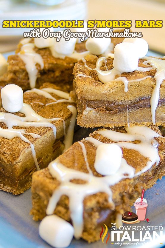 Snickerdoodle S’mores Bars