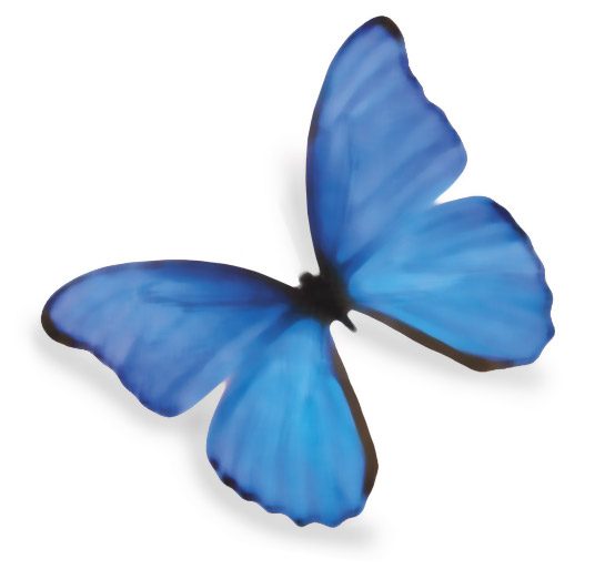tsri-a-butterfly-for-june2-6559395