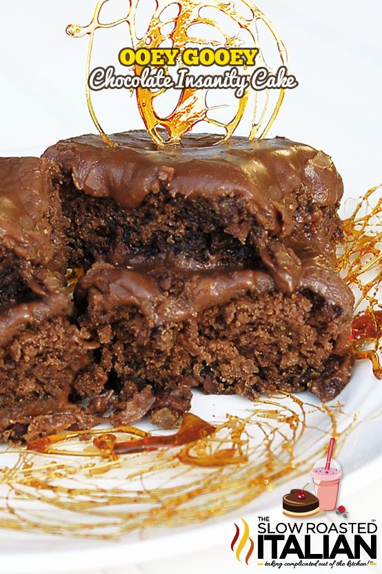 tsri-ooey-gooey-chocolate-insanity-cake-3435108