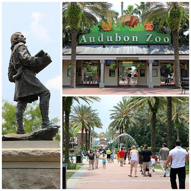 Audubon zoo, NOLA