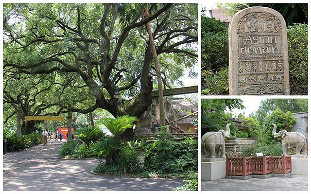 nola-day2-collage-4b-4385809