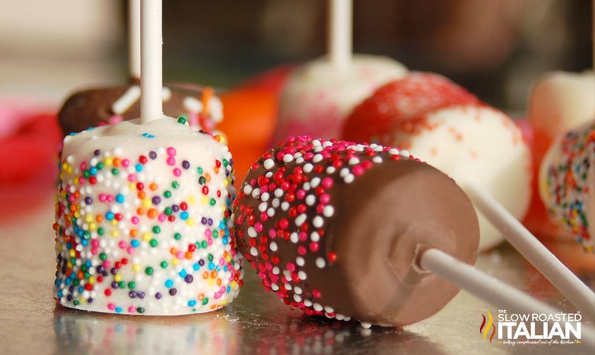 chocolate covered marshmallows on sticks