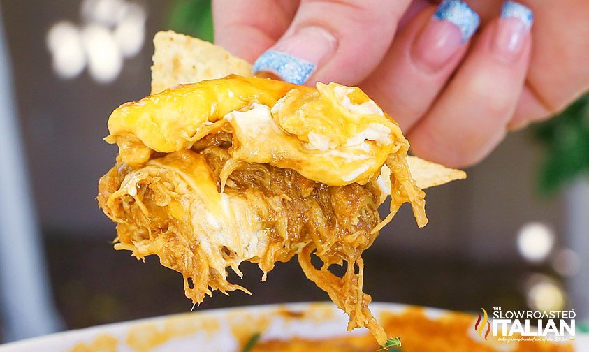 chicken dip on tortilla chip, close up