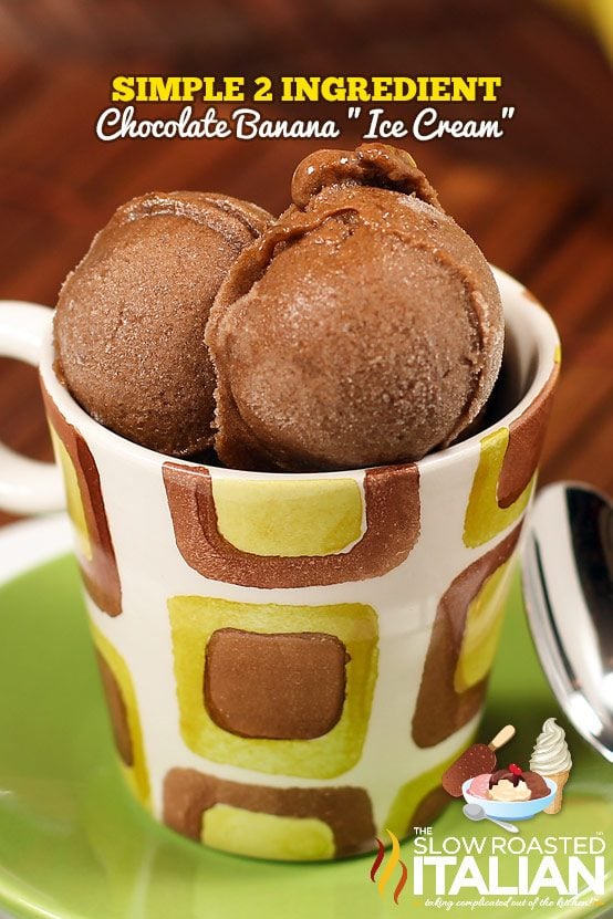 Chocolate Banana Ice Cream (2-Ingredient)