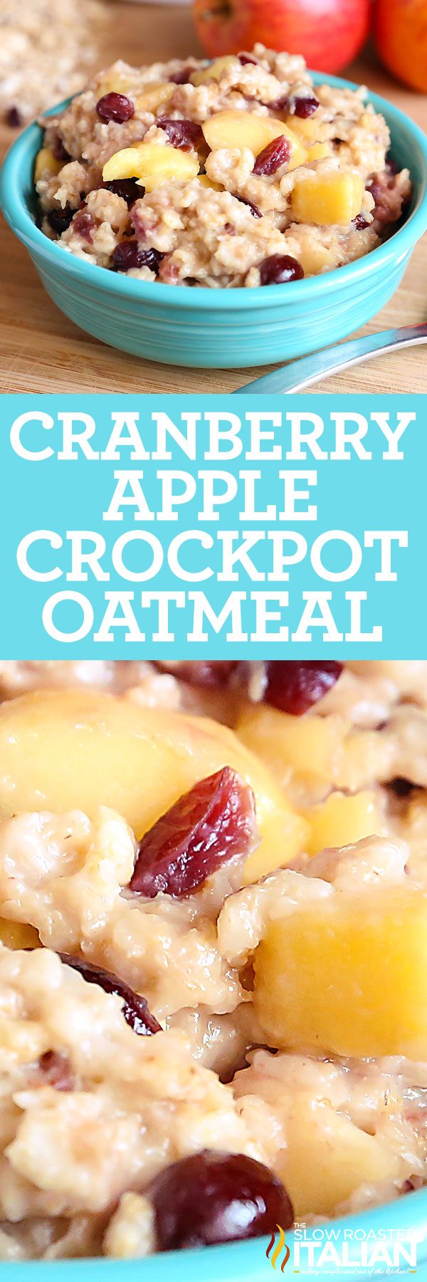 cranberry-apple-crockpot-oatmeal-pin-8446375
