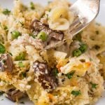 chick tetrazzini