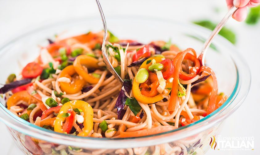 serving bowl of chinese noodle salad