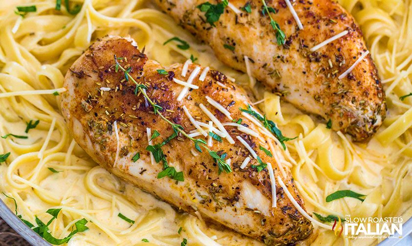 overhead photo: pan seared chicken breast on bed of egg noodles with creamy white pasta sauce
