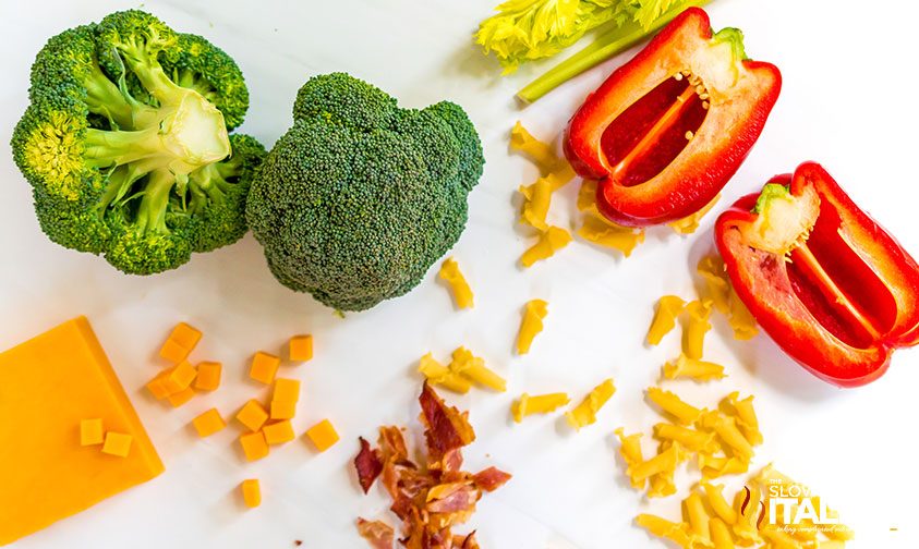 overhead: crowns of broccoli, cubes of cheese, crispy crumbled bacon and red bell pepper with uncooked Campanelle noodles