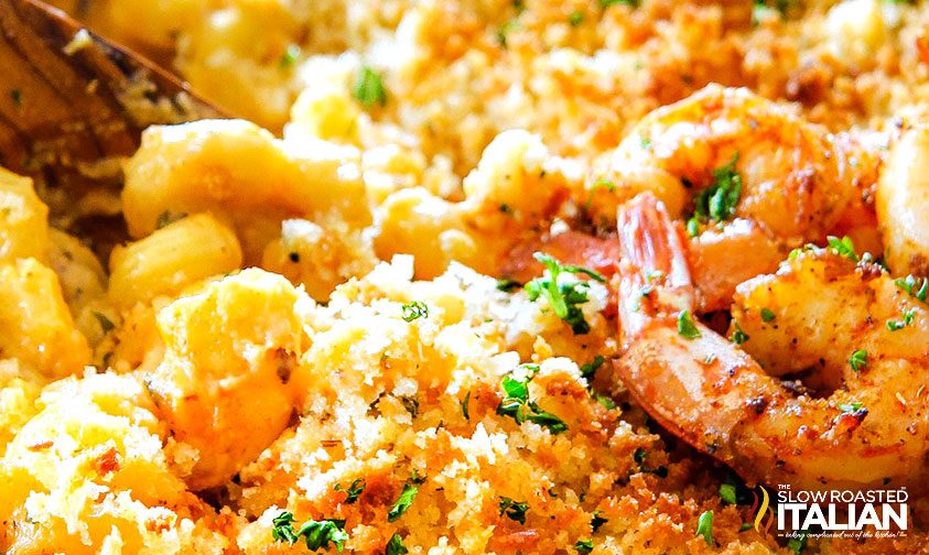 shrimp macaroni and cheese close up