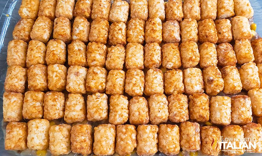 frozen tater tots in baking dish