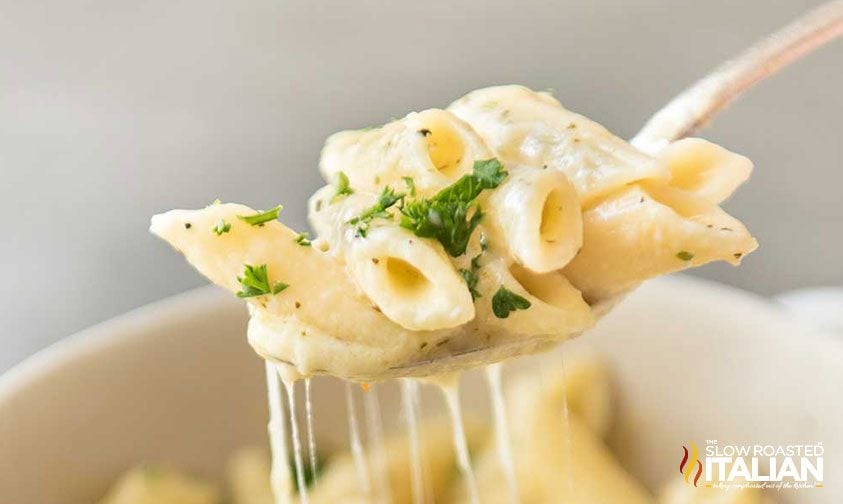 italian style macaroni and cheese on fork, close up