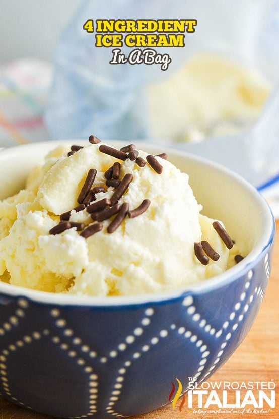 Easy Homemade Ice Cream in a Bag Recipe - House of Nash Eats