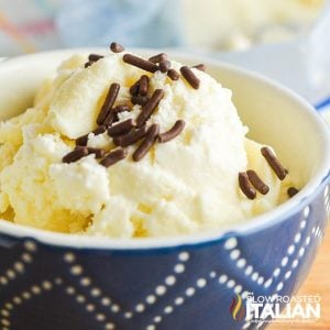 Vanilla Ice Cream with Chocolate Sprinkles