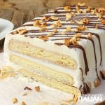 tiramisu ice cream cake