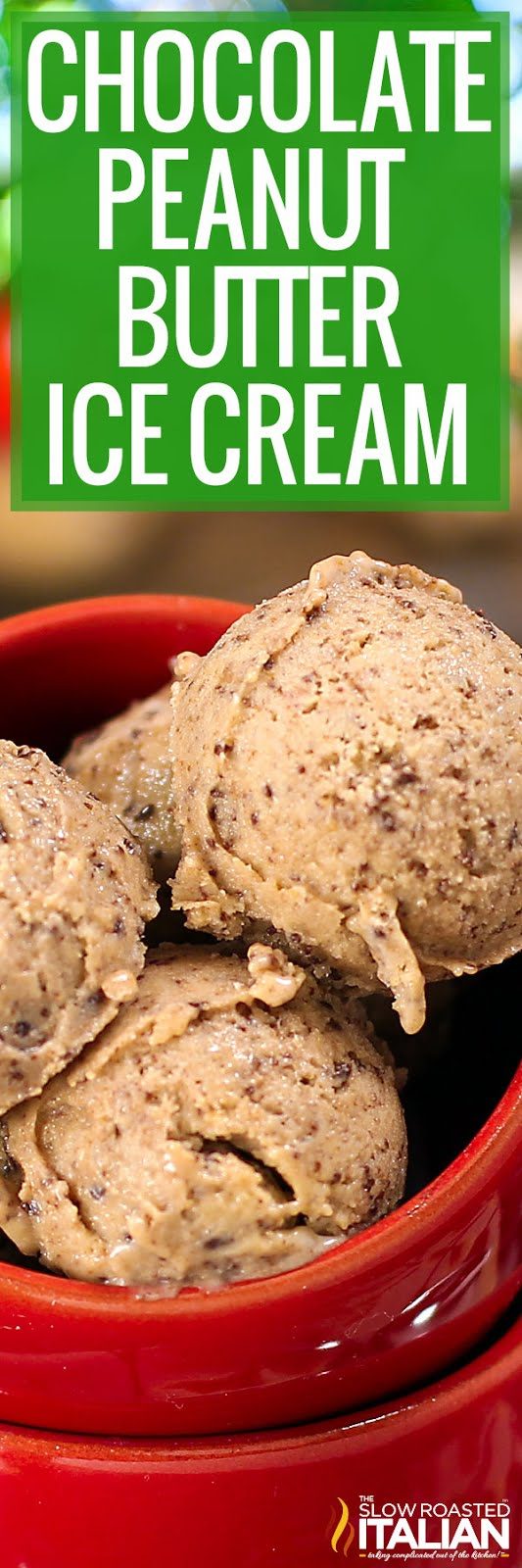 Chocolate Peanut Butter Ice Cream