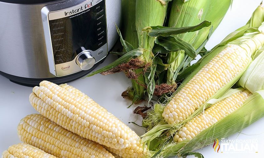 ingredients to make corn on the cob next to a pressure cooker