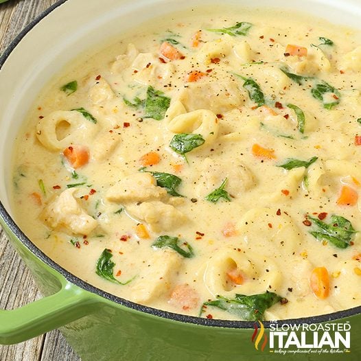 chicken-alfredo-tortellini-soup-square-4157694