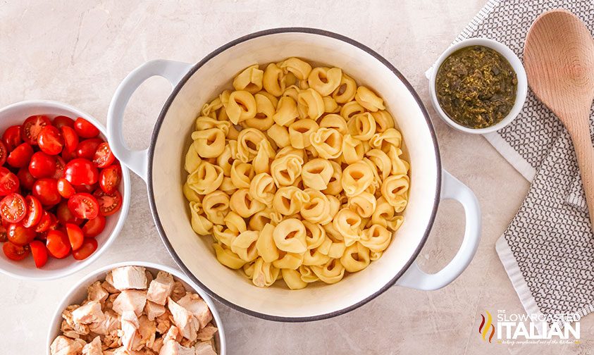 Ingredinets for Chicken Pesto Pasta: tortellini, tomatoes, chicken and pesto