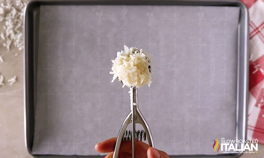coconut macaroon mixture in scoop