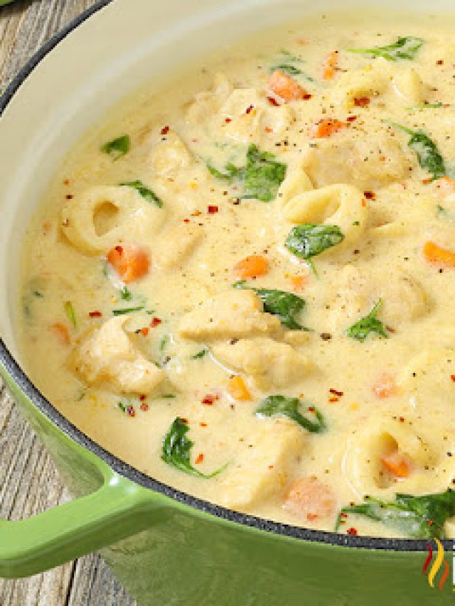 Alfredo Chicken Tortellini Soup