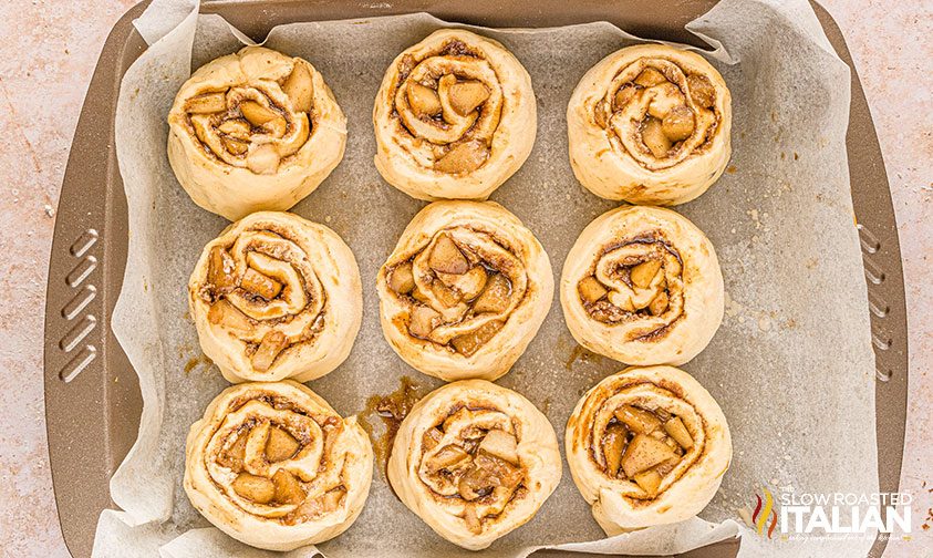 cinnamon rolls placed on parchment in deep square pan