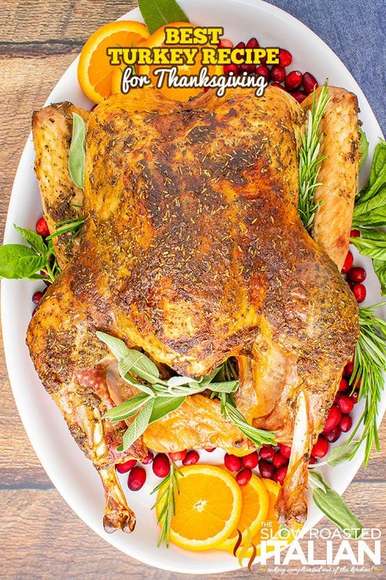 Best Turkey Recipe + Video