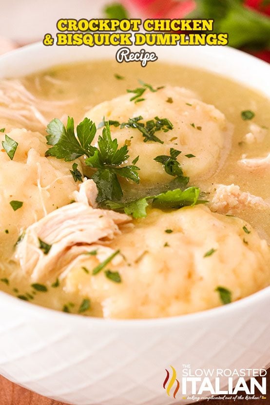 Crock Pot Chicken & Dumplings - Plain Chicken