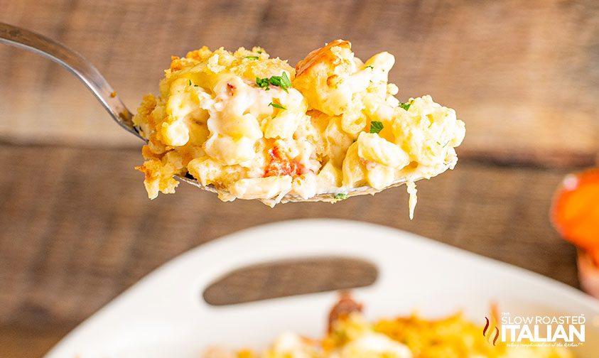 macaroni and cheese on spoon