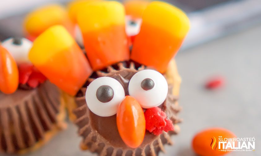 pretzel turkey thanksgiving treat close up