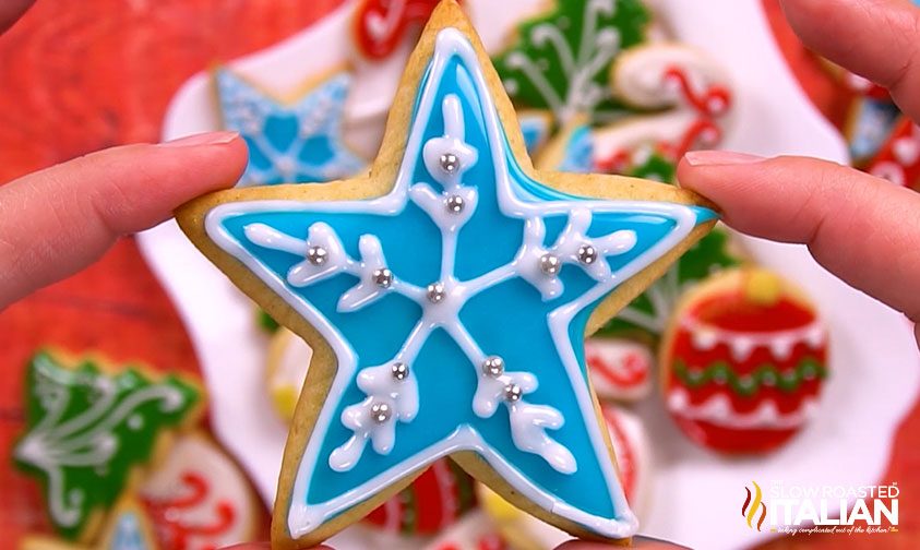 woman's hands holding decorated star cookie