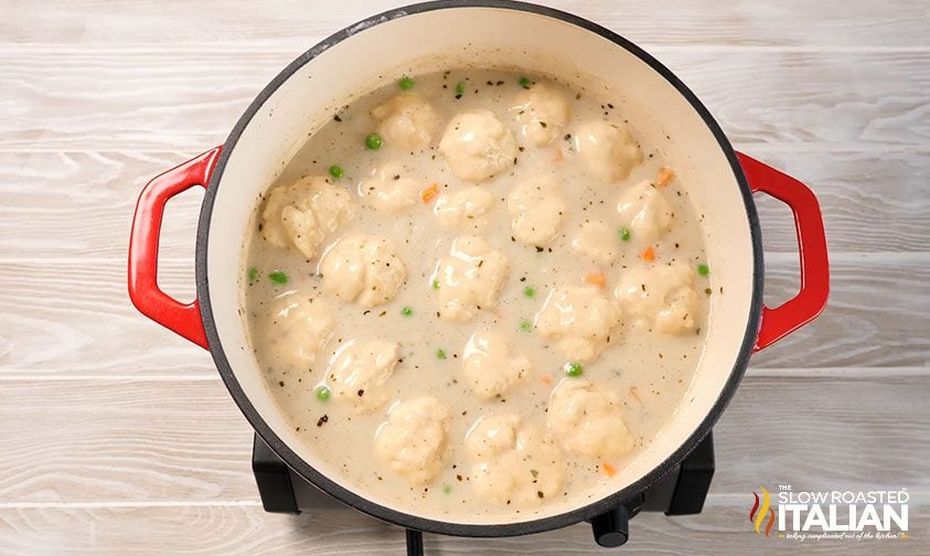 overhead: 30 minute chicken meal cooking in red Dutch oven