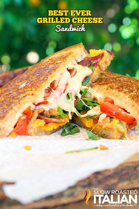 https://www.theslowroasteditalian.com/wp-content/uploads/2020/12/Best-Ever-Grilled-Cheese-Sandwich-4706840.jpg