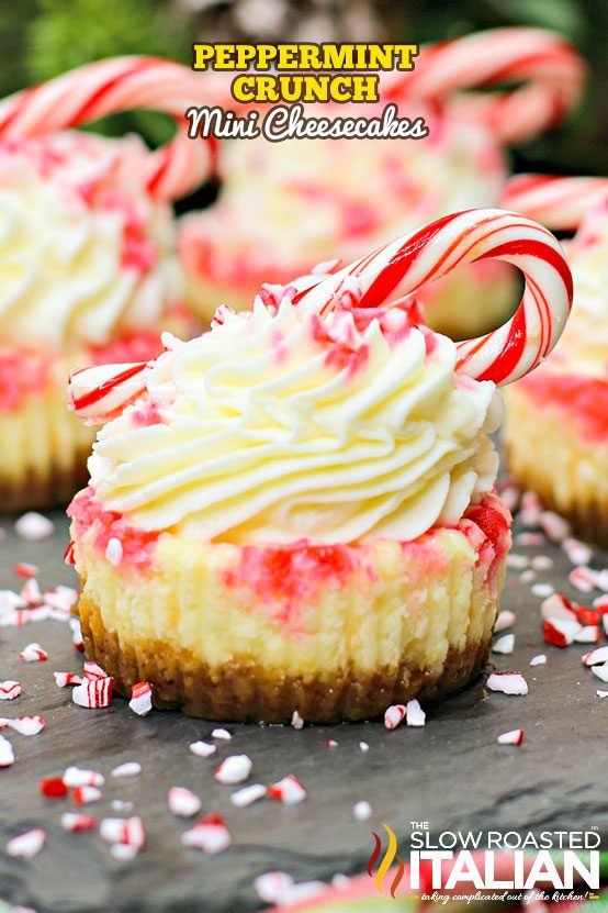 Peppermint Crunch Mini Cheesecakes