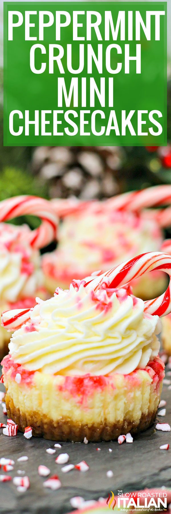 peppermint crunch mini cheesecakes