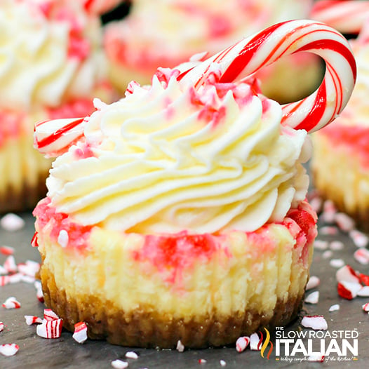 mini cheesecake with candy cane