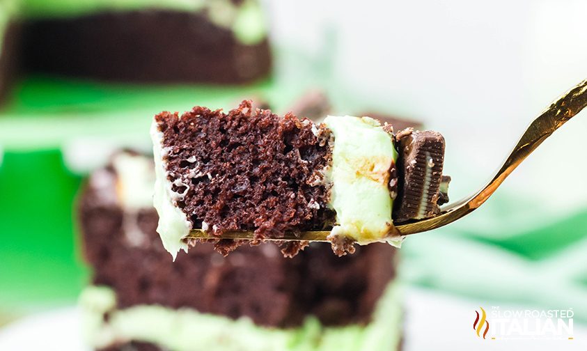 bite of chocolate cake with mint
