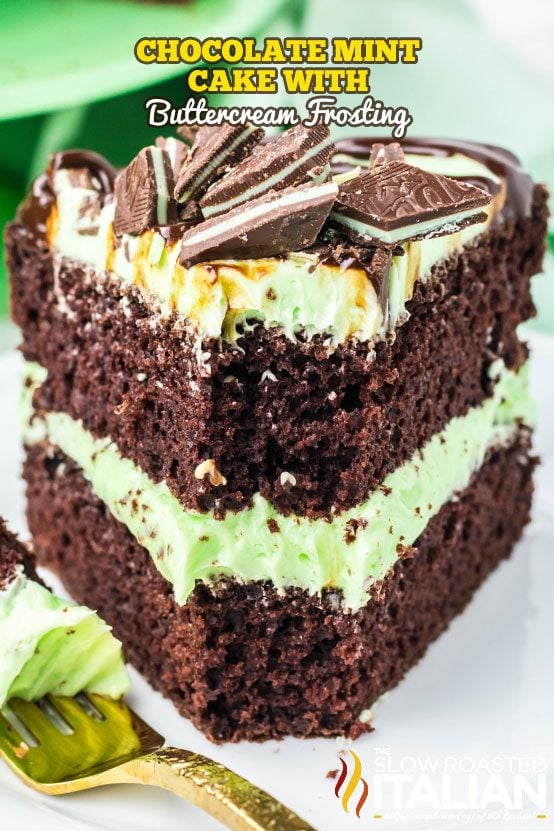 Frosted Chocolate Mint Cake