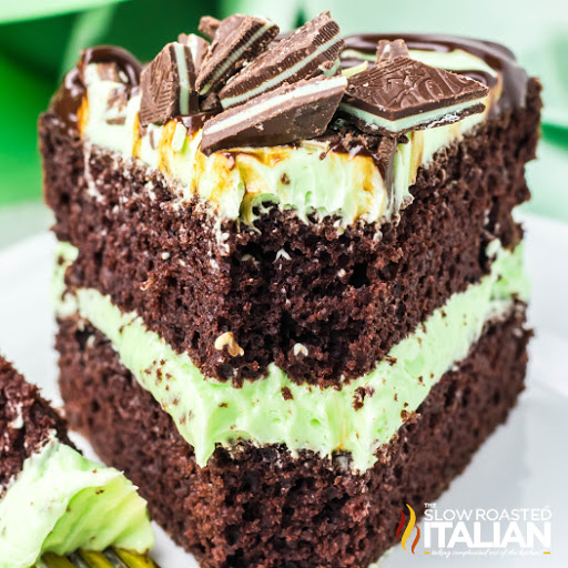 Frosted Mint Chocolate Cake-image