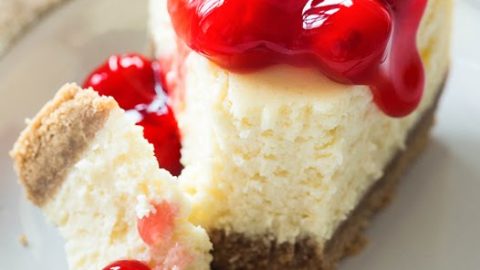 三方銀　Dame Darcy's Meat Cake Compilation Cheesecake Factory Copycat Celebration Cheesecake - Fork To