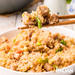 fried rice with pork